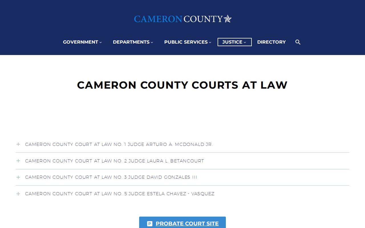 Cameron County criminal court cases in the Courts at Law